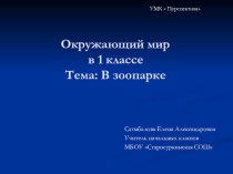 Окружающий мир в 1 классе. Тема: В зоопарке презентация к уроку по окружающему миру (1 класс) по теме