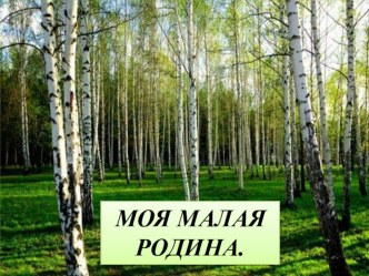 Презентация к классному часу Моя малая родина презентация к уроку (3 класс)