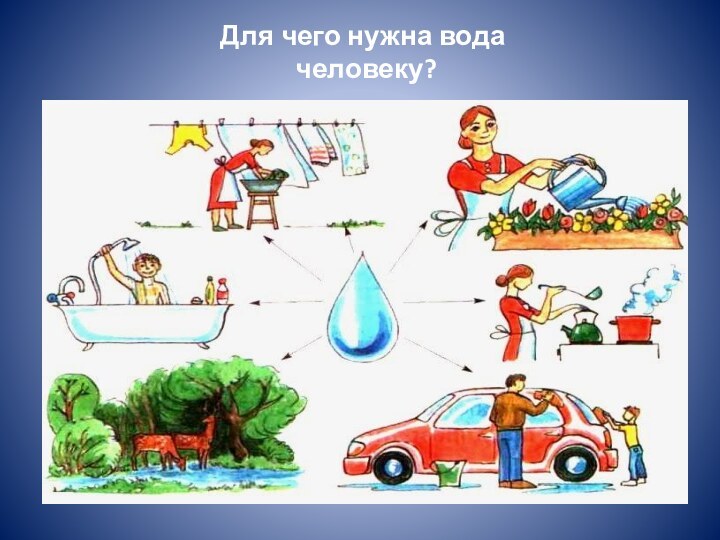 Для чего нужна вода   человеку?