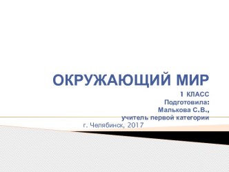 Презентация по окружающему миру Какие бывают животные 1 класс (УМК Перспектива) презентация к уроку по окружающему миру (1 класс)