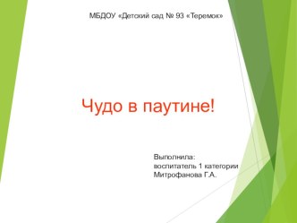 Чудо в паутине презентация к занятию по окружающему миру (старшая группа)