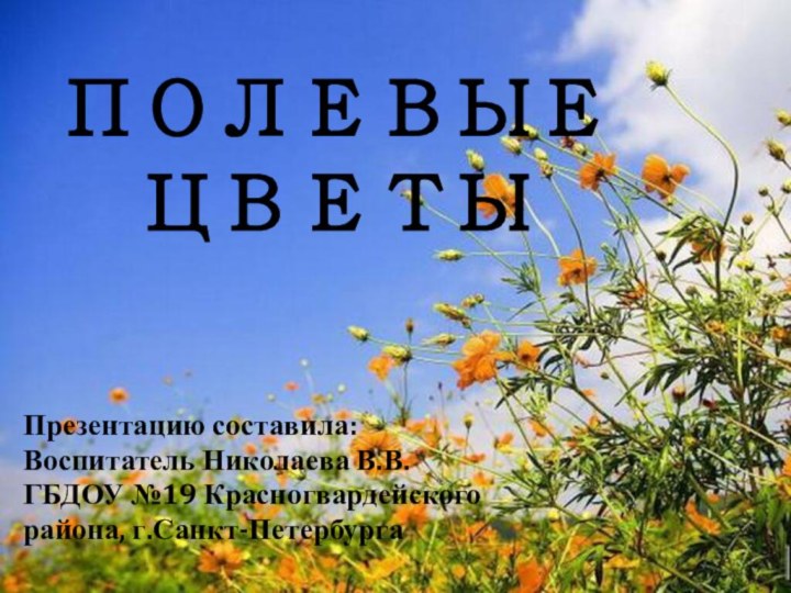 ПОЛЕВЫЕ ЦВЕТЫПрезентацию составила:Воспитатель Николаева В.В.ГБДОУ №19 Красногвардейскогорайона, г.Санкт-Петербурга