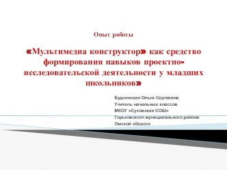 Опыт работы Мультимедиа конструктор как средство формирования навыков проектно-исследовательской деятельности у младших школьников статья по информатике по теме