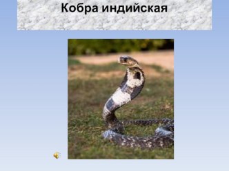 Пресмыкающиеся презентация к уроку по окружающему миру (3 класс) по теме