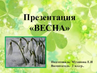 Презентация Весна презентация к занятию по окружающему миру (средняя группа) по теме