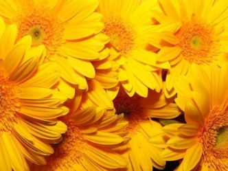 Метод фототерапии в работе педагога-психолога ДОУ. материал по теме