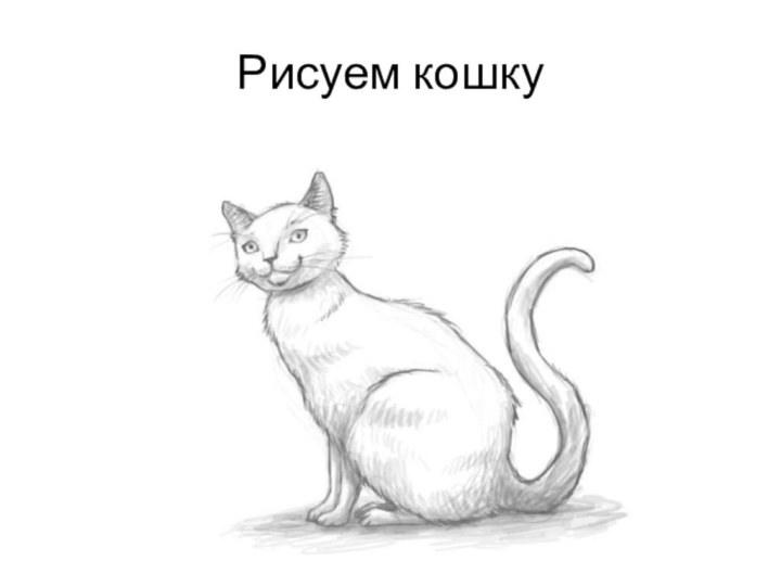 Рисуем кошку