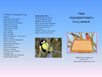 Буклет Зимующие птицы проект по окружающему миру (младшая группа)