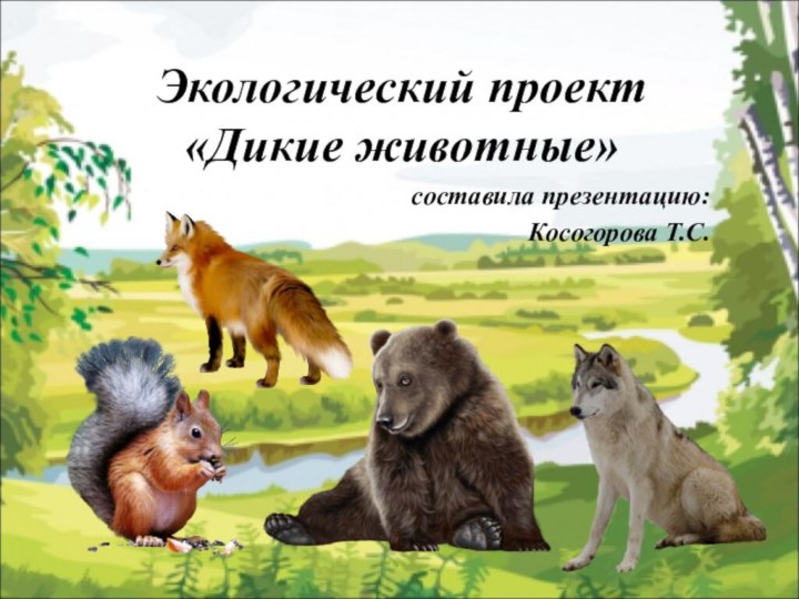 Экологический проект «Дикие животные»составила презентацию:Косогорова Т.С.