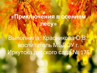 Презентация к занятию по речевому развитию Приключения в осеннем лесу. презентация к уроку по развитию речи (подготовительная группа)