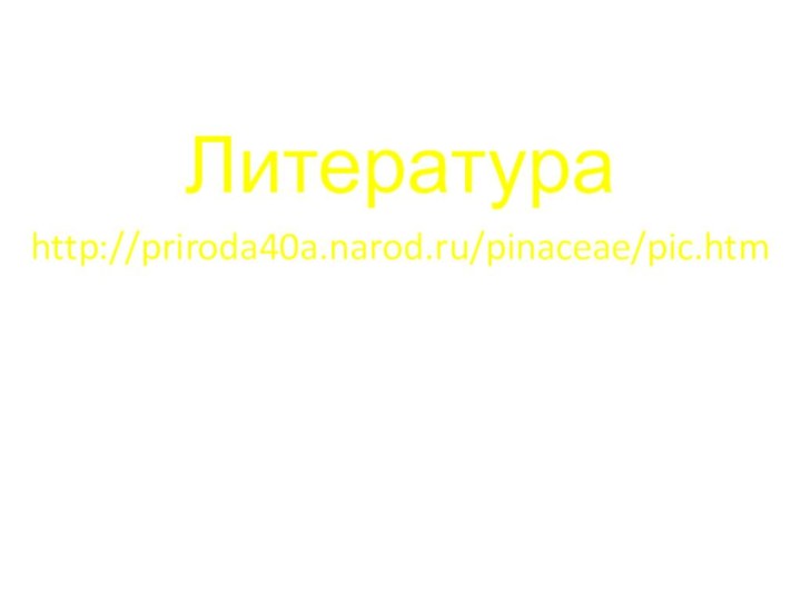 Литератураhttp://priroda40a.narod.ru/pinaceae/pic.htm