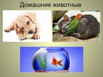 Учебно - методический комплект по окружающему миру : Домашние животные - наши друзья 3 класс. (конспект+ презентация) план-конспект урока по окружающему миру (3 класс) по теме