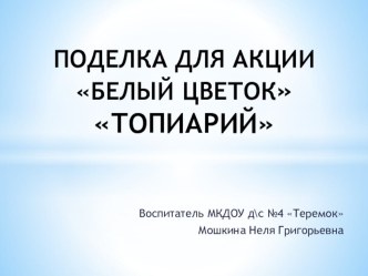 Презентация мастер-класса поделки на акцию Белый цветокТопиарий презентация к уроку по конструированию, ручному труду (средняя группа)