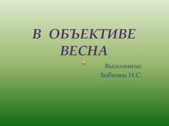 В объективе весна! презентация к уроку по окружающему миру (подготовительная группа)