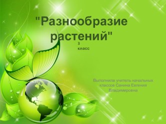 Презентация по теме Разнообразие растений. 3 класс окружающий мир презентация к уроку по окружающему миру (3 класс) по теме