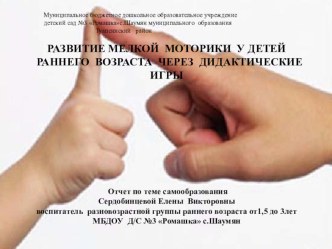 Развитие мелкой моторики у детей раннего возраста через дидактические игры презентация