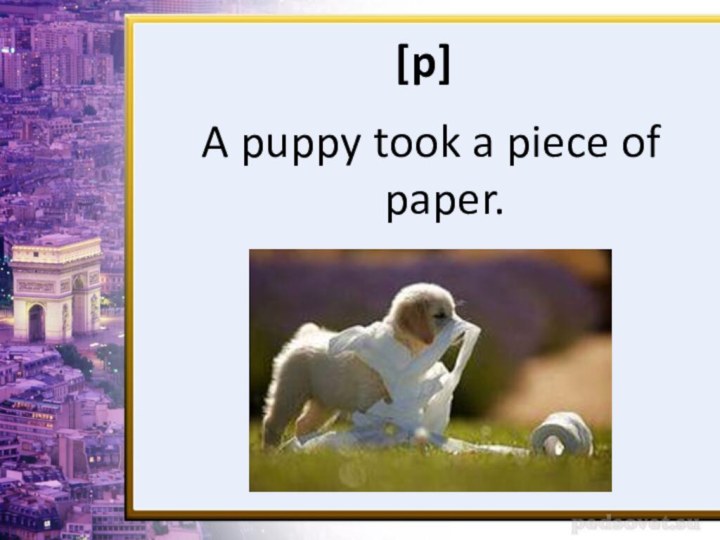 [p]	A puppy took a piece of paper.