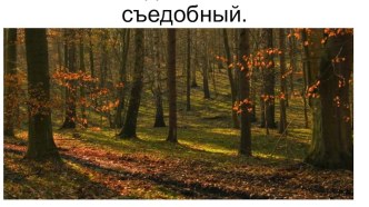 Презентация к беседе Съедобное, не съедобное