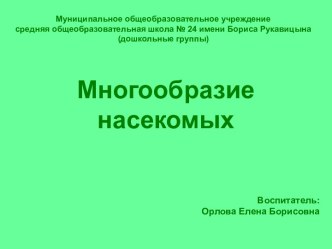 Презентация Многообразие насекомых презентация к уроку по окружающему миру (подготовительная группа)