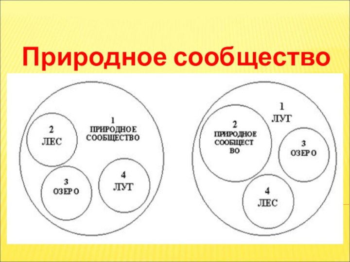 Природное сообщество