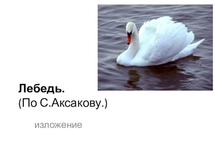 Лебедь. (По С.Аксакову.) изложение