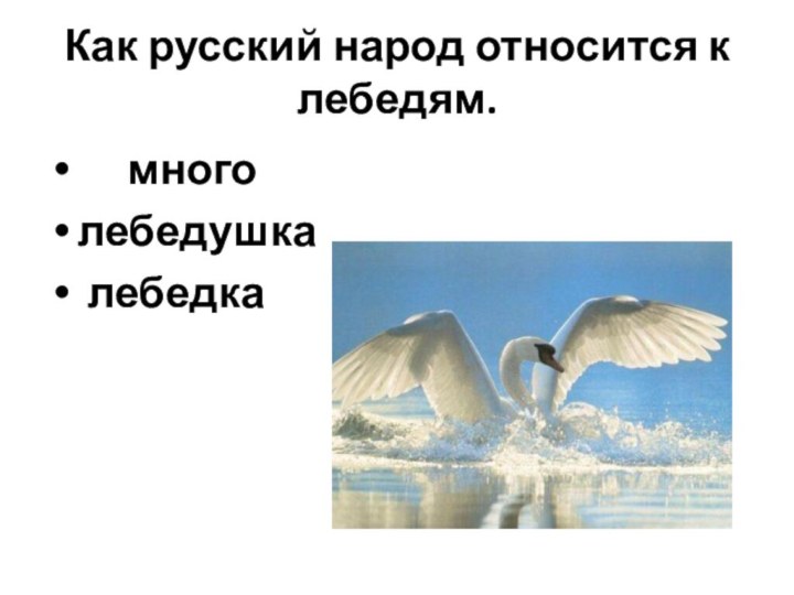 Как русский народ относится к лебедям.    много лебедушка лебедка