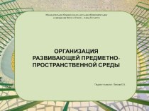 Организация развивающей предметно-пространственной среды в ДОО презентация