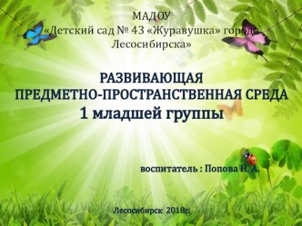 РАЗВИВАЮЩАЯ ПРЕДМЕТНО-ПРОСТРАНСТВЕННАЯ СРЕДА 1 младшей группы презентация к уроку (младшая группа)