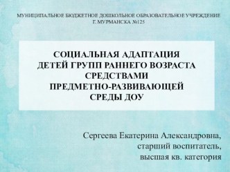 СОЦИАЛЬНАЯ АДАПТАЦИЯ ДЕТЕЙ ГРУПП РАННЕГО ВОЗРАСТА СРЕДСТВАМИ ПРЕДМЕТНО-РАЗВИВАЮЩЕЙ СРЕДЫ ДОУ методическая разработка по теме