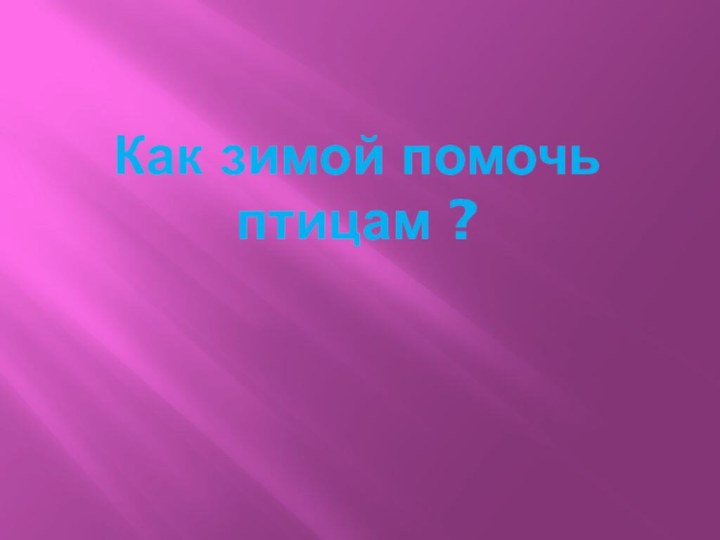 Как зимой помочь птицам ?