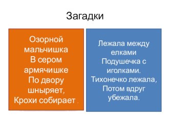 Загадки презентация к уроку по логопедии (старшая, подготовительная группа)