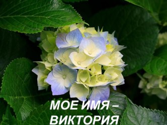 презентация Мое имя презентация к уроку (старшая группа)