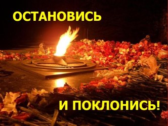 Остановись и поклонись! Собаки во время ВОВ. презентация к уроку