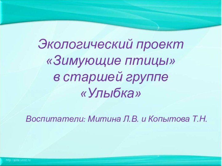 Экологический проект «Зимующие птицы» в старшей группе  «Улыбка»Воспитатели: Митина Л.В. и Копытова Т.Н.