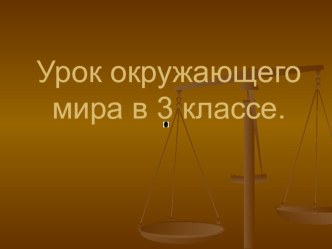 окружающий мир разнообразие веществ 3 класс презентация к уроку по окружающему миру (3 класс)