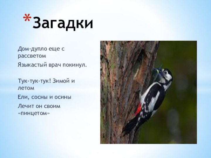 Дом-дупло еще с рассветомЯзыкастый врач покинул.	Тук-тук-тук! Зимой и летомЕли, сосны и осиныЛечит он своим «пинцетом»Загадки