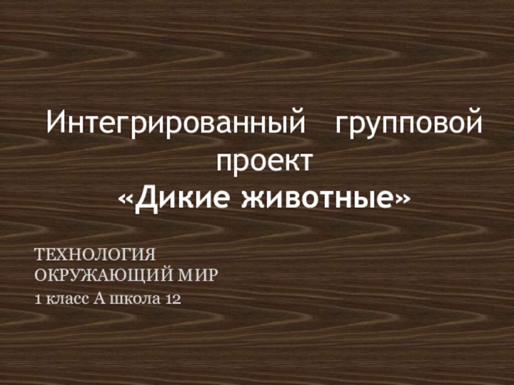 Интегрированный  групповой проект  «Дикие животные»ТЕХНОЛОГИЯ ОКРУЖАЮЩИЙ МИР1 класс А школа 12