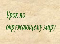 Какие бывают почвы презентация к уроку по окружающему миру (2 класс) по теме