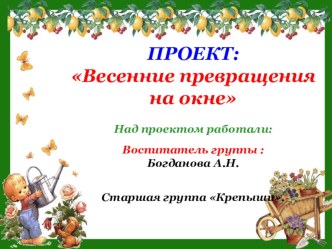 Проект Весенние превращения на окне презентация к уроку по окружающему миру (старшая группа) по теме