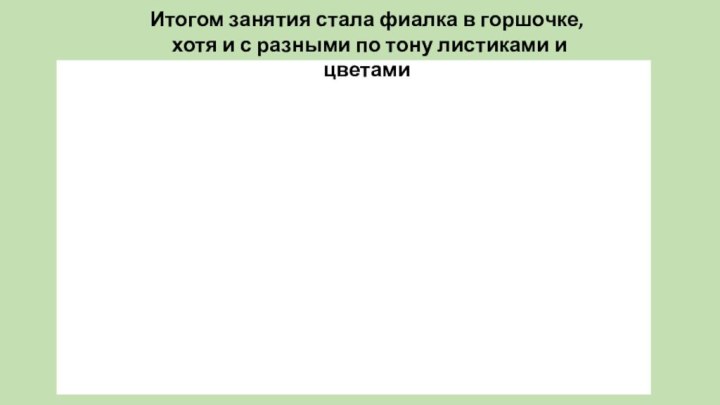 Итогом занятия стала фиалка в горшочке,  хотя и с разными по тону листиками и цветами