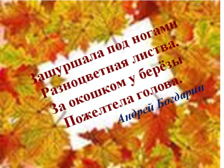 Зашуршала под ногами Разноцветная листва. За окошком у берёзы Пожелтела голова.