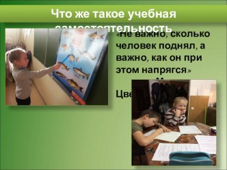 Этапы развития самостоятельности 7