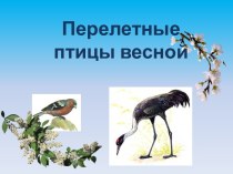 Презентация Перелетные птицы презентация к уроку по окружающему миру (средняя группа)