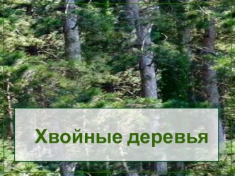 ВЗАИМОДЕЙСТВИЕ С ДЕТЬМИ презентация к уроку по окружающему миру (подготовительная группа)