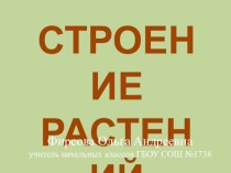 Конспект урока по Окружающему миру Строение растений 3 класс Планета знаний план-конспект урока по окружающему миру (3 класс)