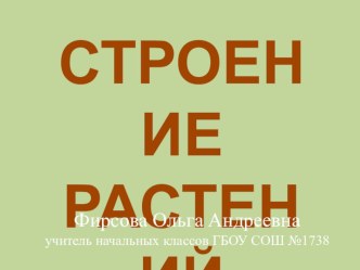 Конспект урока по Окружающему миру Строение растений 3 класс Планета знаний план-конспект урока по окружающему миру (3 класс)