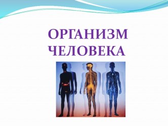 ОРГАНИЗМ ЧЕЛОВЕКА презентация к уроку по окружающему миру (3 класс)