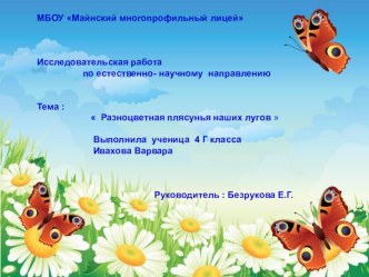 Исследовательская работа Разноцветная плясунья наших лугов . проект (4 класс)