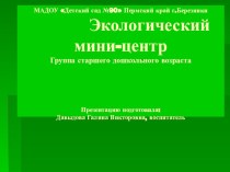 Презентация Экологический мини-центр презентация к занятию по окружающему миру (старшая группа)