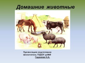 Презентация. Домашние животные презентация к уроку по развитию речи (младшая группа)